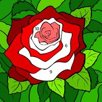 Coloring Book Paint by Number