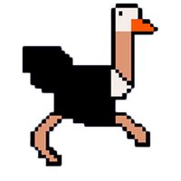 Ostrich Runner 2D