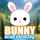 Bunny Road Crossing