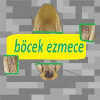 Böcek ezmece