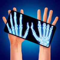 X-Ray Scanner - Metal Detector