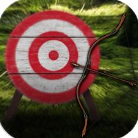 Bow and arrows