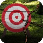 Bow and arrows