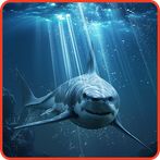 water, sharks and whales - hun