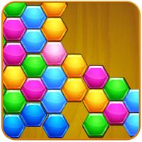 Zig Zag Hexa Puzzle
