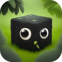 Jungle Maze