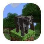 Craftsman Maxicraft Super