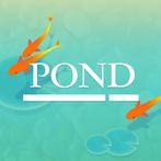 Pond - Save the little carp