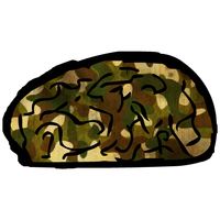 Genius Quiz 11