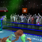 Kick Puch ring fighting