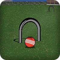 Croquet Pro