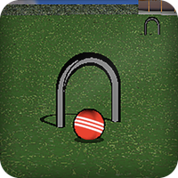 Croquet Pro