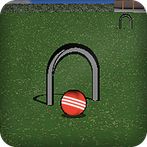 Croquet Pro