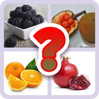 Guess The Fruits 2023