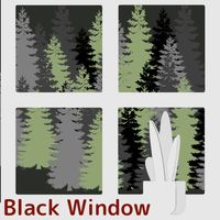 Black Window