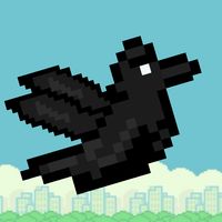 Flappy Crow