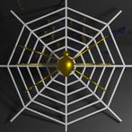 Adventures Of Araneae