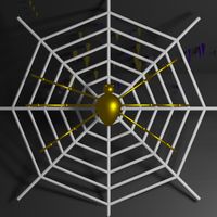 Adventures Of Araneae