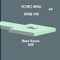 지그재그 레이스