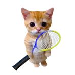 Kitty Tennis