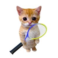 Kitty Tennis