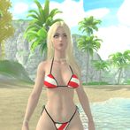 Beach Girls in Bikinis