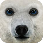 Ultimate Arctic Simulator