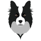Sheepdog Farm