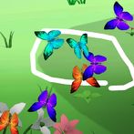 Loop Butterfly