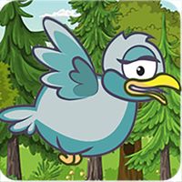 Forest Flight-Bird Flying Game