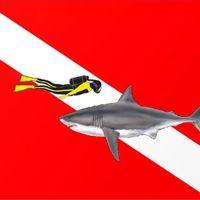 Diver Down - Scuba Diving Game