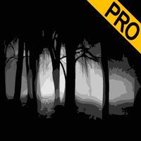 Sin Mirar Atrás - Pro