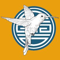 Hachidori Aoi. Ninja & geisha.