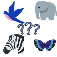 Animal & Birds Quiz