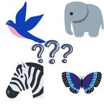 Animal & Birds Quiz