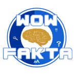 Wow Fakta