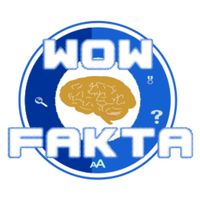 Wow Fakta