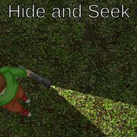 Hide and Seek