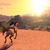 Paradise Games Studio