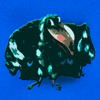 White Crow - board game