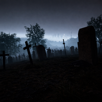The Silent Neighbor