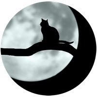 Big Cat - A Text Adventure Gam