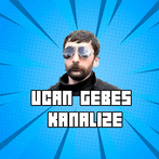 Uçan Gebeş Kaplumbağa
