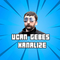 Uçan Gebeş Kaplumbağa