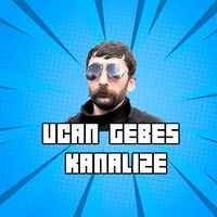 Uçan Gebeş Kaplumbağa