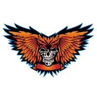 Skulls Coloring Book