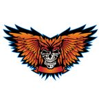 Skulls Coloring Book