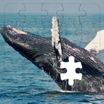 Rompecabezas de Ballenas