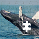 Rompecabezas de Ballenas