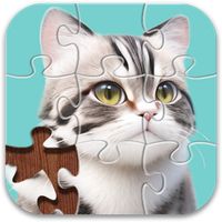 Jigsaw Puzzle